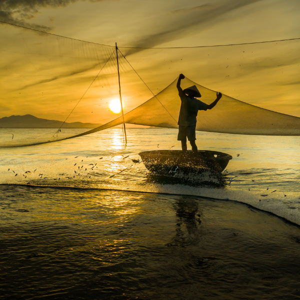 The Nutritional And Environmental Benefits Of A Sustainable Seafood Menu