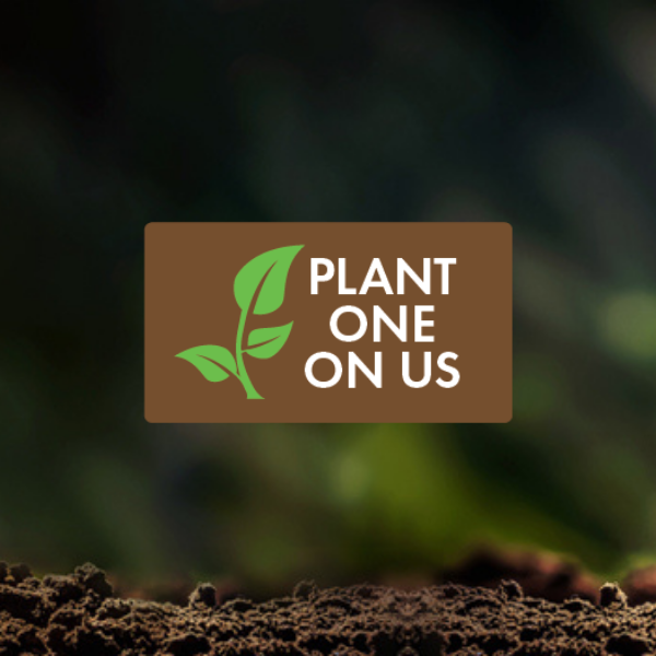 Blog-Main-plant-one-on-us