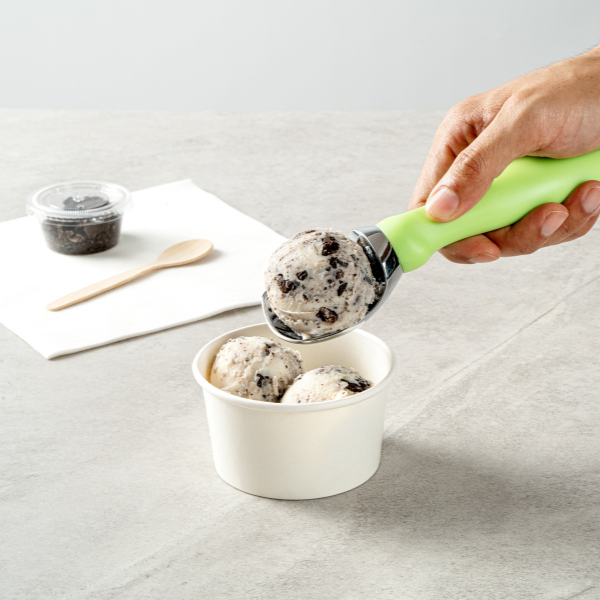 Chocolate chip ice cream with scoop
